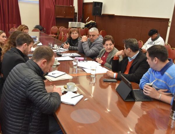 Ley de Grilla: La Comisión de Educación aprobó el proyecto de reglamentación