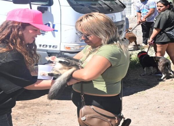 Realizaron un operativo de castración, vacunación y registro de mascotas en el Aeroclub