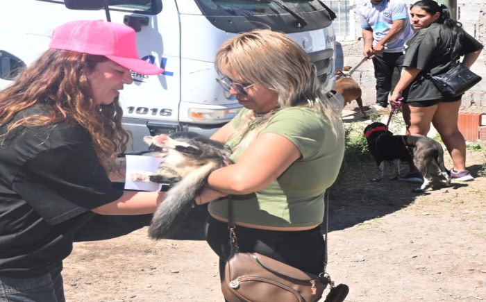 Realizaron un operativo de castración, vacunación y registro de mascotas&hellip;