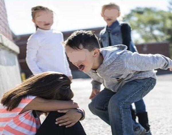 Bullying en escuelas de Jujuy: Proponen aplicar sanciones a padres de menores involucrados, con multas y hasta arresto