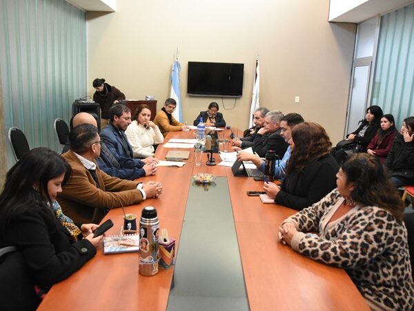 Legislatura: Asuntos Sociales emitió despacho favorable a dos proyectos