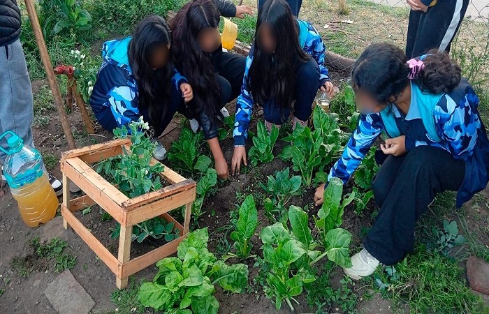 Fortalecimiento de huertas agroecológicas escolares en San Salvador de Jujuy