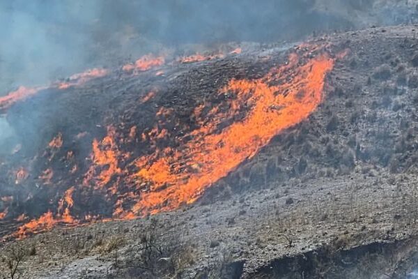 Incendios forestales: Jujuy registró 144 focos en 2026 y el 47,9% en el mes de agosto