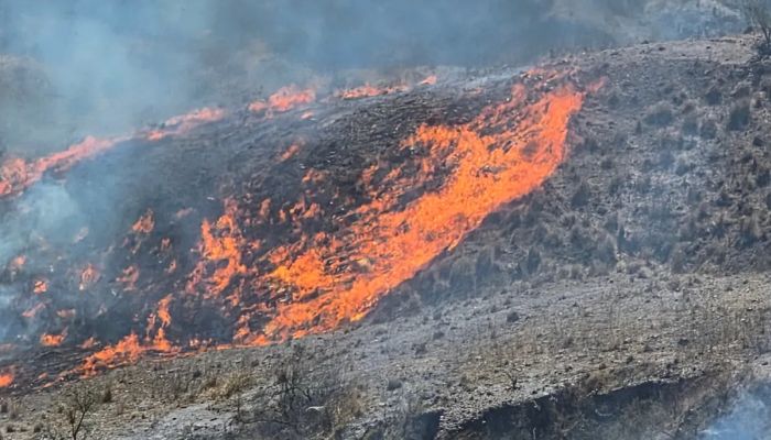 Incendios forestales: Jujuy registró 144 focos en 2026 y el&hellip;