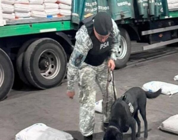 La PSA desarticulan una banda de narcotraficantes en San Pedro de Jujuy