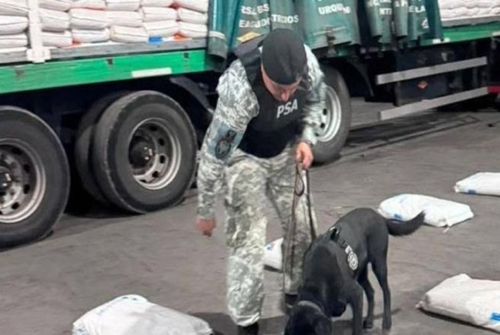 La PSA desarticulan una banda de narcotraficantes en San Pedro…