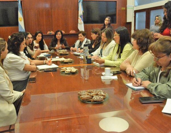 Diputadas de distintos bloques planifican actividades para concientizar sobre el cáncer de mama