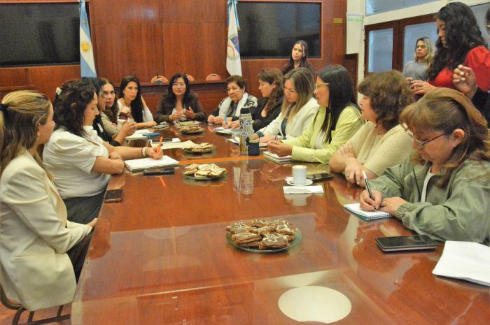 Diputadas de distintos bloques planifican actividades para concientizar sobre el&hellip;
