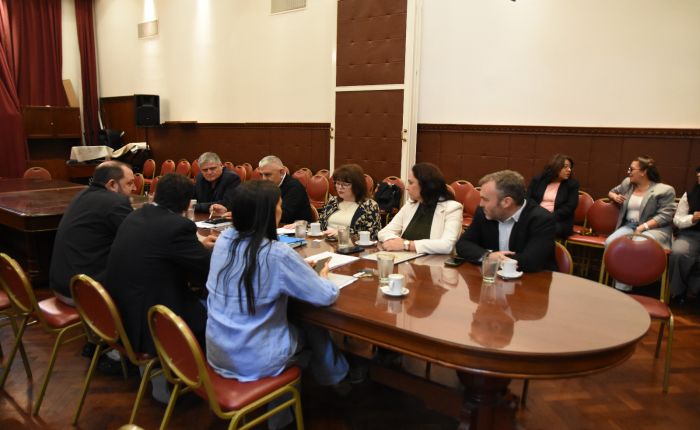 La Comisión de Cultura avanzó con el proyecto sobre la histórica bandera y emitió despacho por la Textilería Jujeña