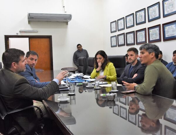 La Comisión de Obras y Servicios Públicos abordó reclamos ciudadanos por el servicio eléctrico