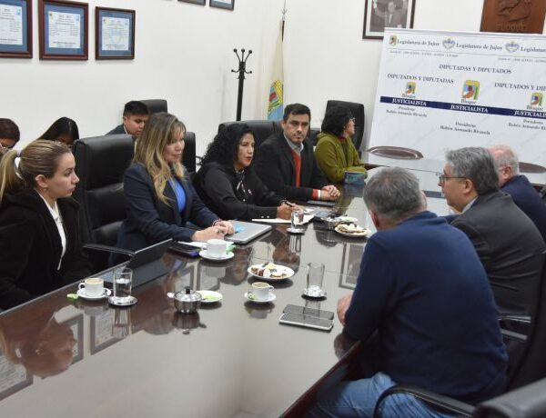 La Fiscalía Ambiental de Jujuy investiga la caza ilegal de vicuñas y la formación de basurales
