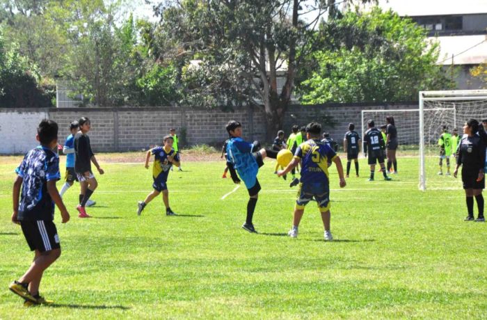 Fútbol infantil: 700 niños y 58 equipos participaron de una nueva fecha de la Liga Municipal