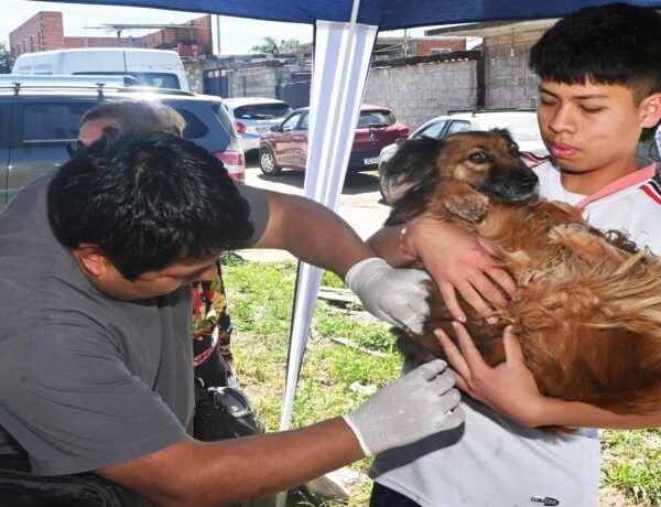 Zoonosis suma nuevos operativos de vacunación y atención para animales en distintos barrios