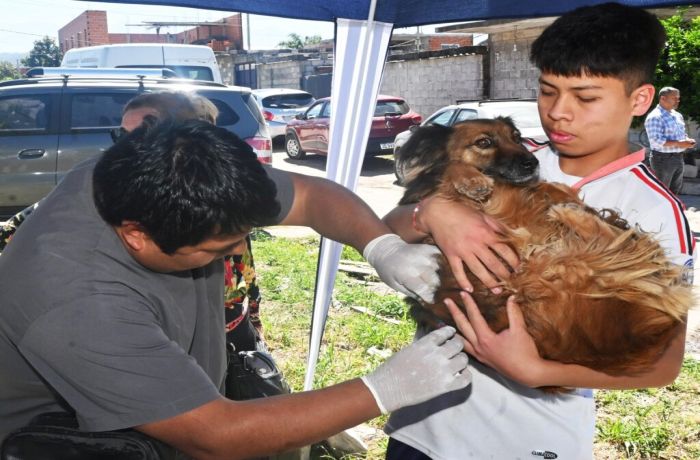Zoonosis suma nuevos operativos de vacunación y atención para animales&hellip;