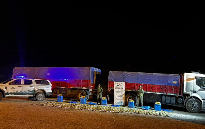 Partió de San Pedro: En un control, gendarmes descubrieron 248 kilos de hojas de coca