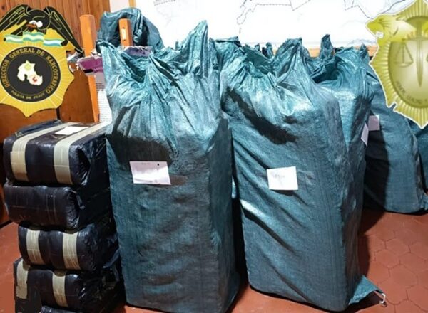 Lozano: Chocaron contra un poste y abandonaron una camioneta con 640 kilos de hojas de coca